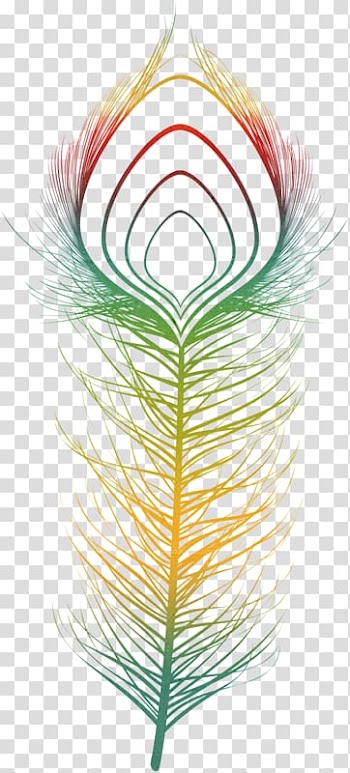Feather Common ostrich Graphic design Embroidery , watercolor magnolia transparent background PNG clipart