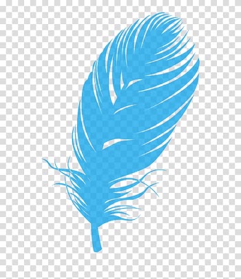 Feather CorelDRAW Bird, Colored feathers transparent background PNG clipart