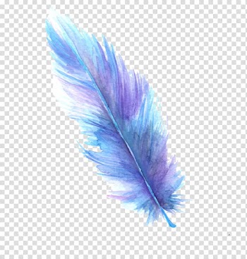 Feather Digital art Watercolor painting, feather transparent background PNG clipart