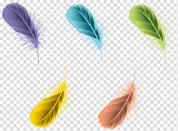 Feather Digital , watercolor feathers transparent background PNG clipart