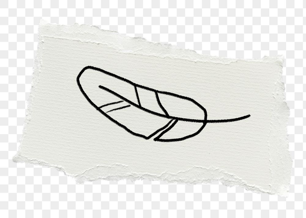 Feather doodle png sticker, torn | Free PNG - rawpixel