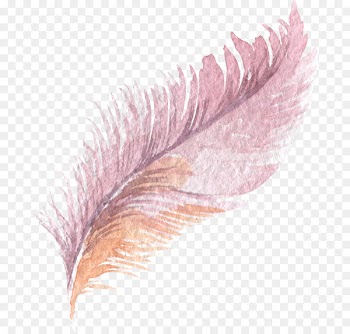 Feather Download Cartoon - feather 