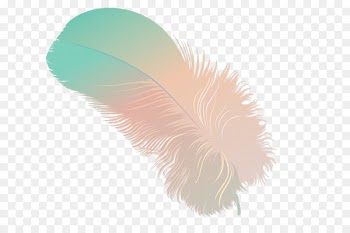 Feather Drawing Blog - feather 