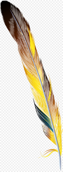 Feather Drawing - Hand painted colorful feather 