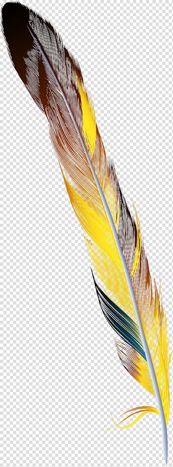 Feather Drawing, Hand painted colorful feather transparent background PNG clipart
