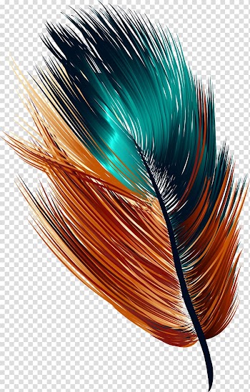 Feather Drawing, Hand painted colorful feather transparent background PNG clipart