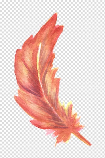 Feather Drawing Watercolor painting, Red Feather transparent background PNG clipart