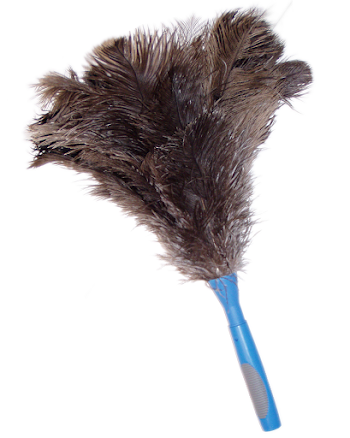 Feather Duster Png, png collections at sccpre.cat