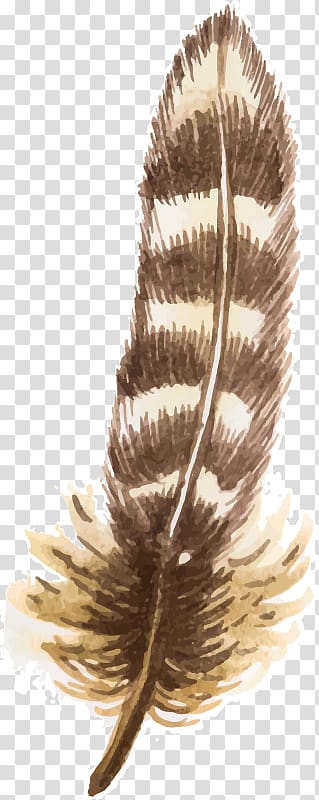 Feather Euclidean Watercolor painting, Brown feathers transparent background PNG clipart