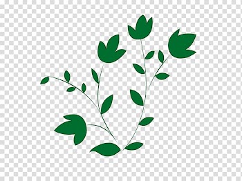 , feather frame transparent background PNG clipart
