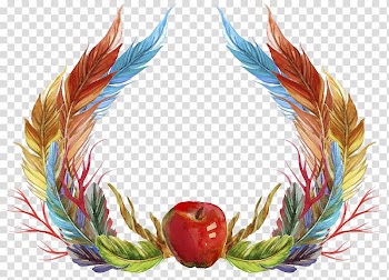 Feather Icon, Plant colorful feathers transparent background PNG clipart