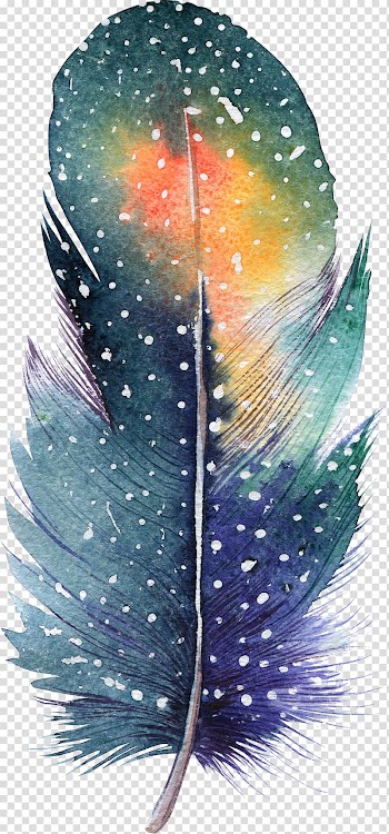 Feather illustration, Feather Watercolor painting Drawing Illustration, feather transparent background PNG clipart