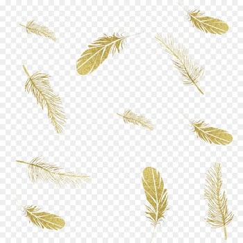 Feather Image Portable Network Graphics Ink Download - feather 