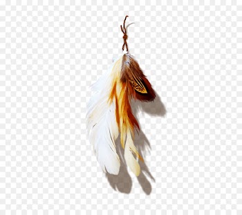 Feather Ink Polyvore - White Feather Pendant 