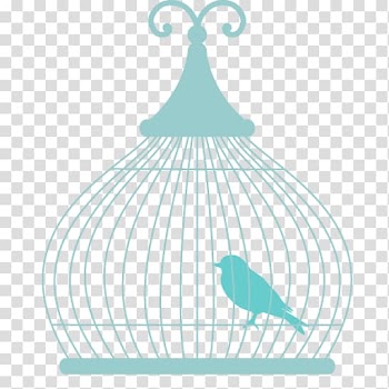 Feather Line Turquoise 4K resolution , feather transparent background PNG clipart