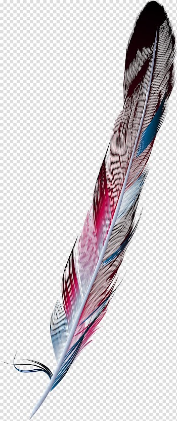 Feather Painting Drawing, Hand painted colorful feather transparent background PNG clipart