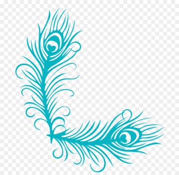 Feather Peacock Decal Sticker Peafowl - feather 