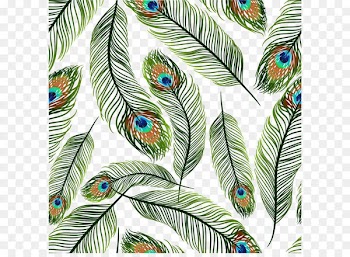 Feather Peafowl Euclidean vector Clip art - Green Peacock Ling Vector 