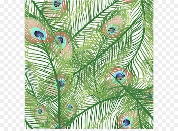 Feather Peafowl Euclidean vector - Hand painted Peacock Feather Vector 