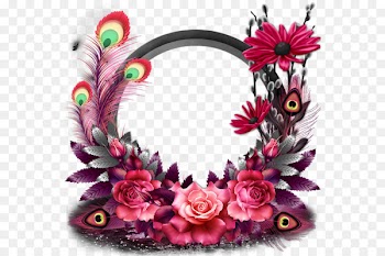 Feather Peafowl Picture frame - Color peacock feathers flowers round frame 