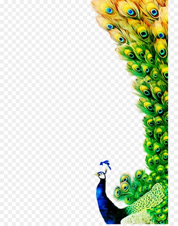 Feather Peafowl Poster - Quality real estate peacock element 