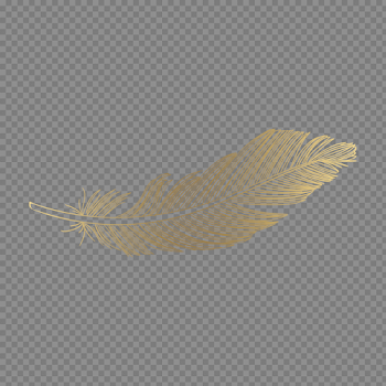 Feather PNG Download Image