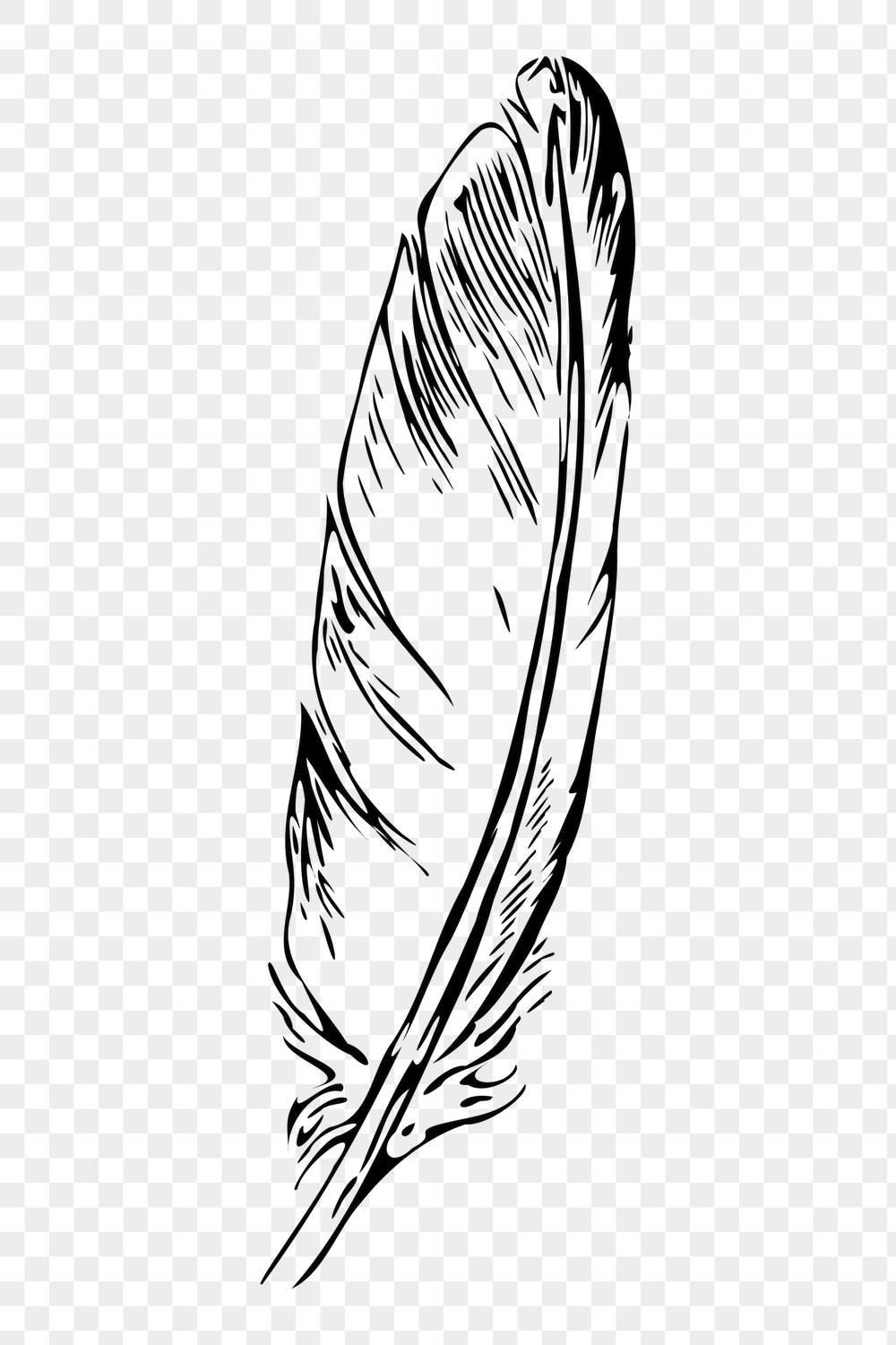 Feather png sticker, vintage object | Free PNG - rawpixel