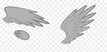 Feather Pony Twilight Sparkle Rainbow Dash - feather 