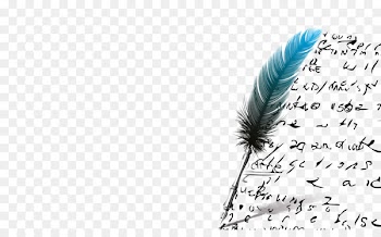 Feather Product design Font Graphics - avianca frame 