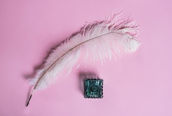 Feather Quill And Ink Well On Pink
