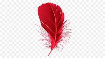 Feather Red Clip art - Red feathers 