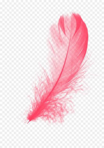 Feather - Red Feather 