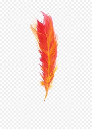 Feather Red - Red feathers 