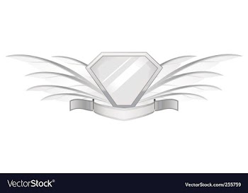 Feather shield vector image