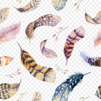 Feather Throw pillow Watercolor painting Drawing - Colored feathers collection 
