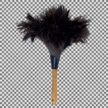Feather, transparent png image & clipart free download