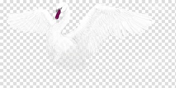 Feather Water bird White Beak, White Swan transparent background PNG clipart
