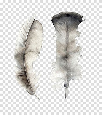 Feather Watercolor painting Art Canvas, Ink feather transparent background PNG clipart