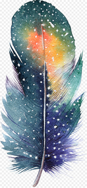 Feather Watercolor painting Drawing Illustration - feather 