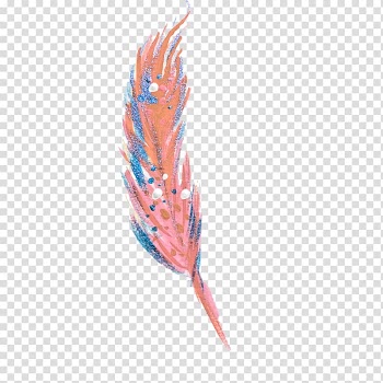 Feather Watercolor painting , Hole magpie feather transparent background PNG clipart