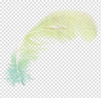 Feather Wing Illustration, Color Wings,Fantasy Feather transparent background PNG clipart