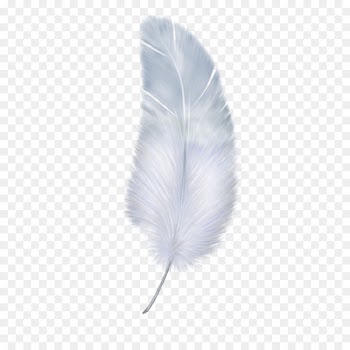 Feather Wing White - White feathers 