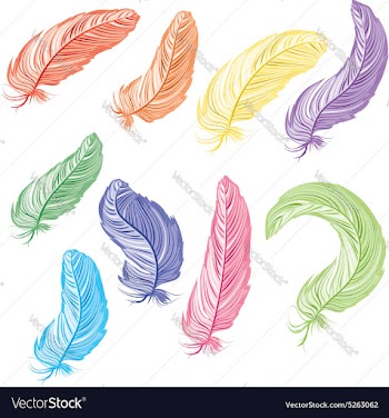 Feathers Set vector image