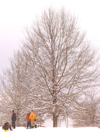 FebSnow023.jpg