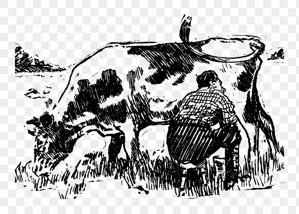 Feeding cow png sticker, farm | Free PNG - rawpixel