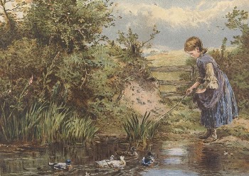 Feeding the Ducks | Free Photo - rawpixel