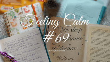 Feeling Calm #133 - Any Way To Stay At Home