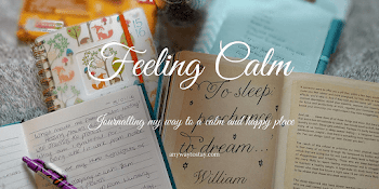 Feeling Calm #133 - Any Way To Stay At Home