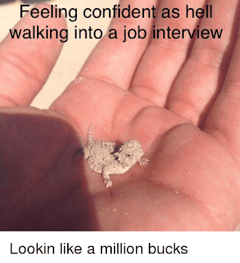 Feeling Confident as Hell Walking Into a Job Interview | Funny ...