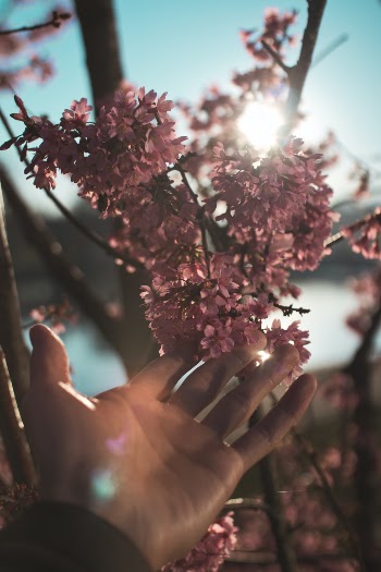 Feels like spring